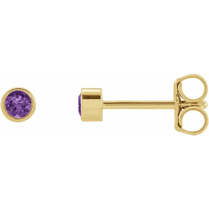 Petit Bezel 14kt Ametyst